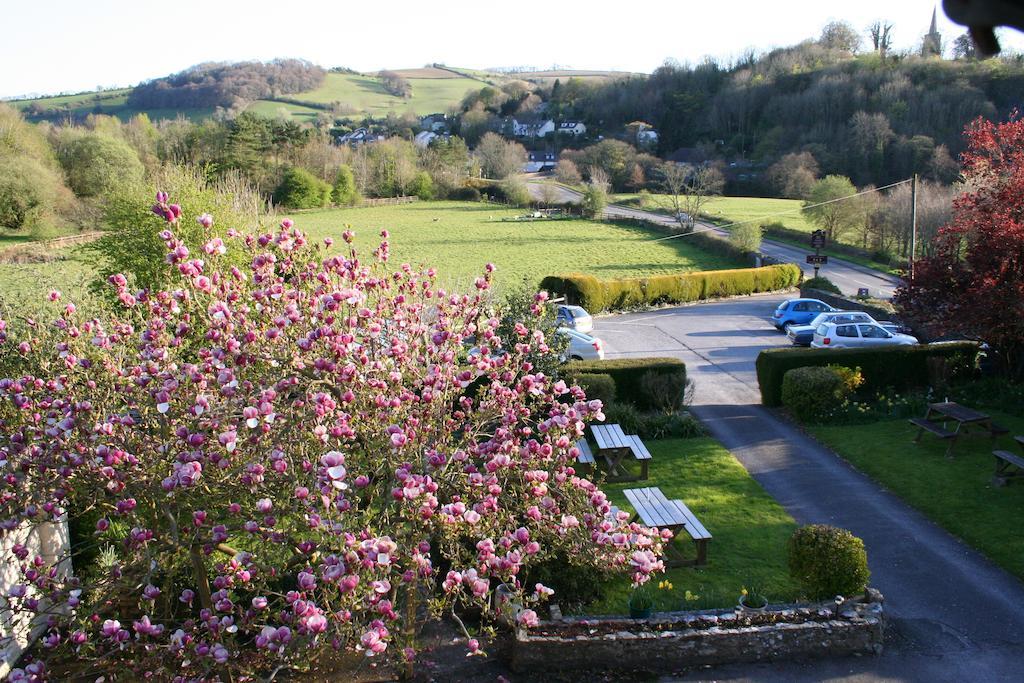 Furzeleigh Mill Inn Buckfastleigh Esterno foto